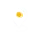 Server Location in Europe | Weblink